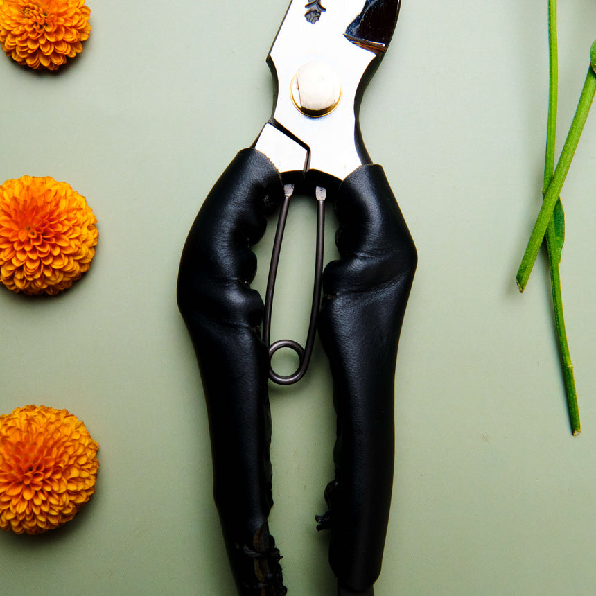 Black Leather Handled Secateurs