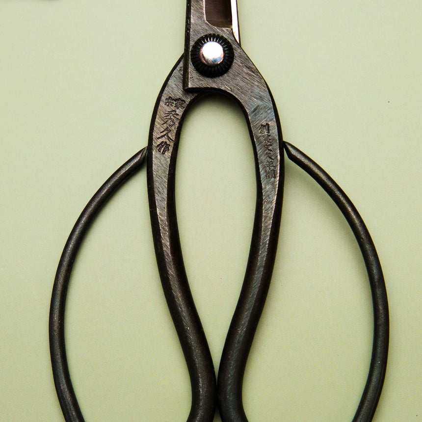 Bonsai Scissors - 200mm