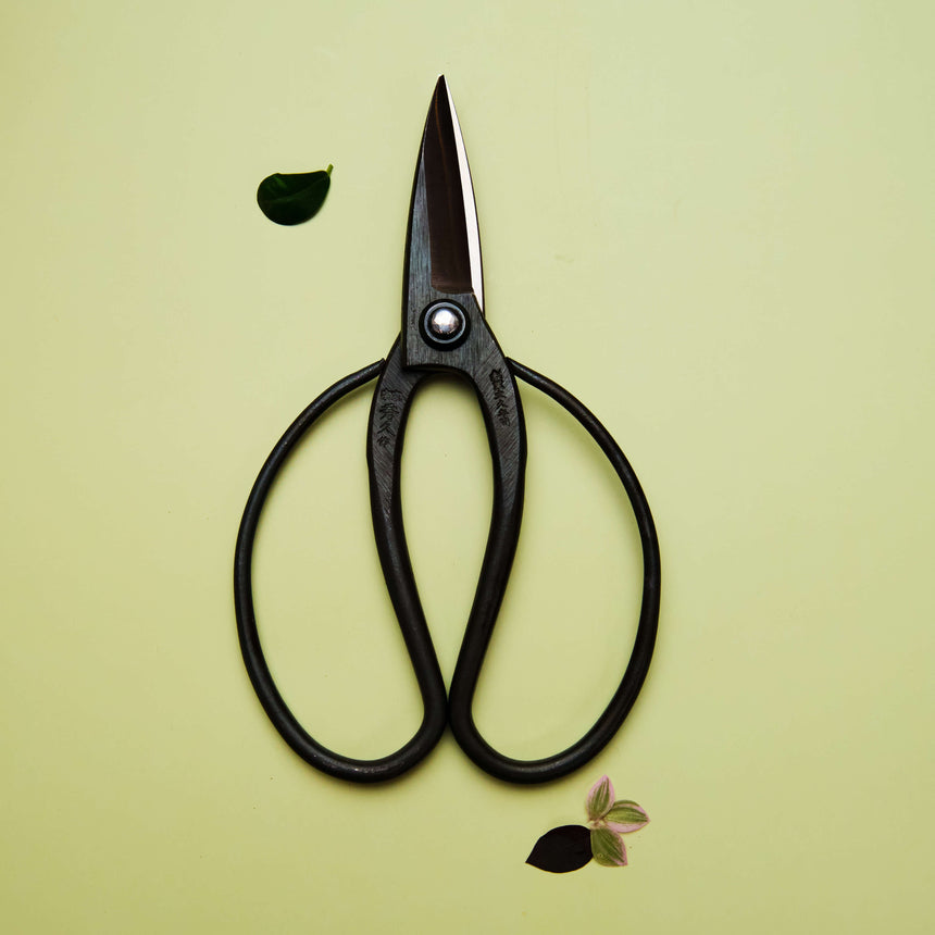 Okubo Scissors