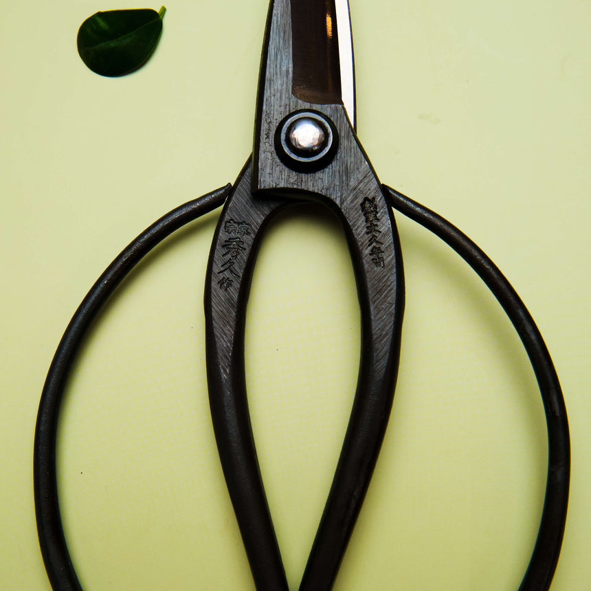 Okubo Scissors