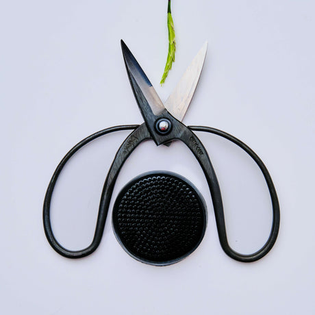 Ikebana Pin Frog & Okubo Scissors Set