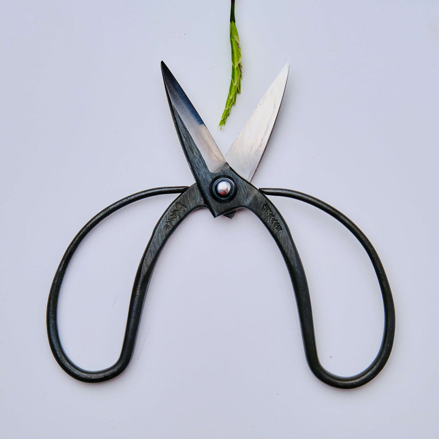 Ikebana Pin Frog & Okubo Scissors Set