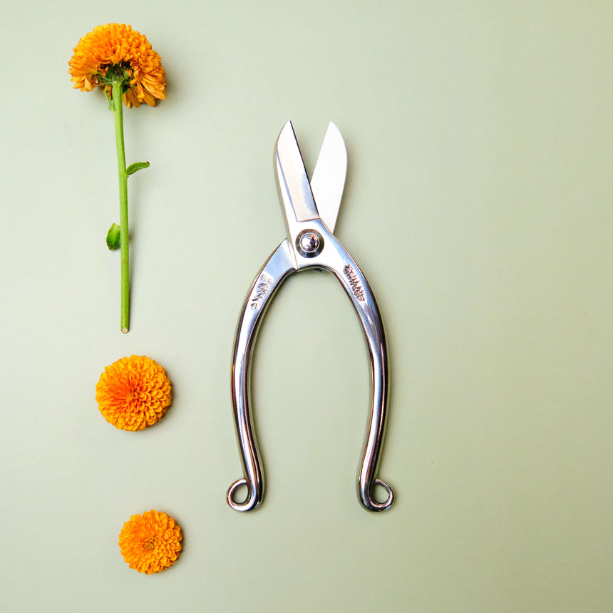 Stainless Steel Ikebana Shears