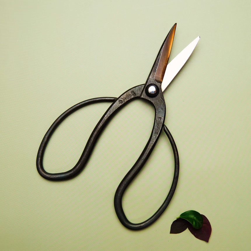 Bonsai Scissors - 200mm