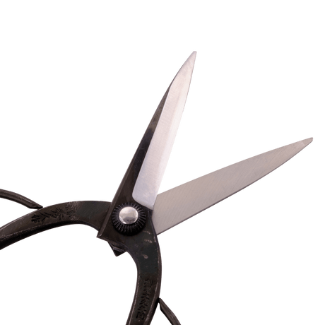 Bonsai Scissors - 200mm - Bonsai Tools - Japanese Tools Australia