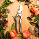 Secateurs