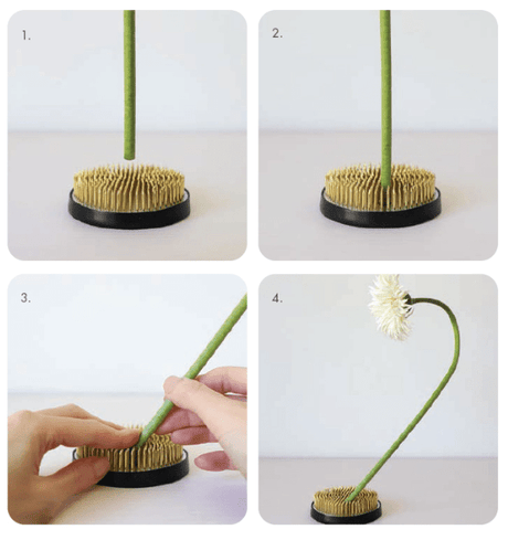 Inspired Ikebana: Modern Design Meets the Ancient Art of Japanese Flower Arrangement - Books - Japanese Tools Australia