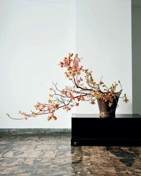 Japanese Ikebana for every Season - Books - Japanese Tools Australia