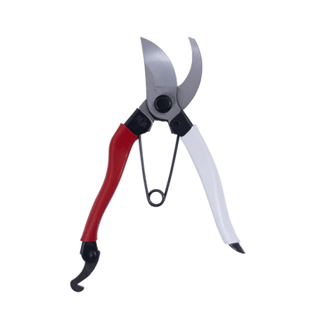 Japanese Seccies & Snips Set - Secateurs - Japanese Tools Australia