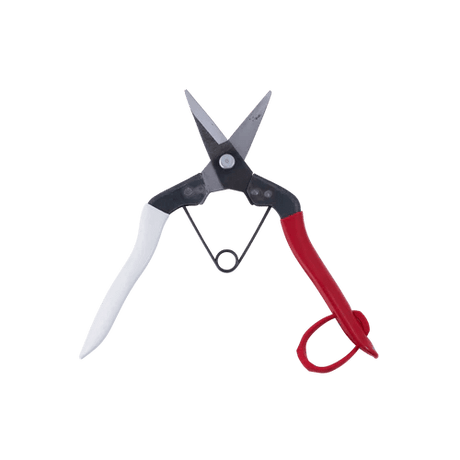 Japanese Seccies & Snips Set - Secateurs - Japanese Tools Australia