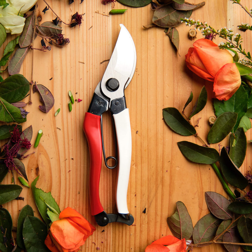 Okatsune Pruning Shears - 210mm - Secateurs - Japanese Tools Australia