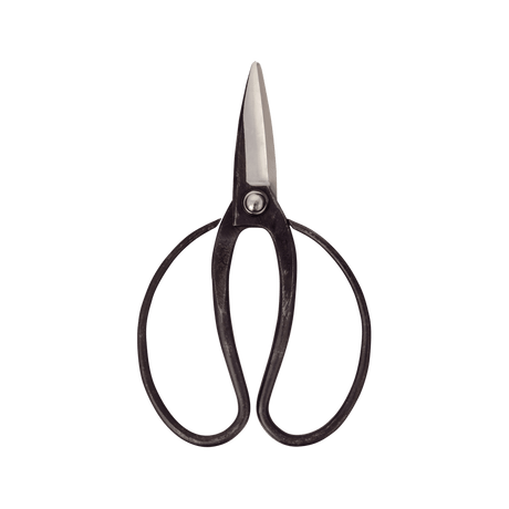 Okubo Scissors - Bonsai Tools - Japanese Tools Australia