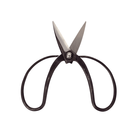 Okubo Scissors - Bonsai Tools - Japanese Tools Australia