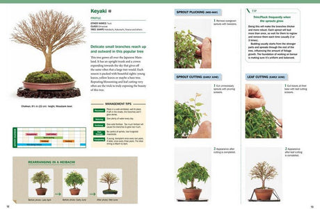 The Ultimate Bonsai Handbook - Books - Japanese Tools Australia